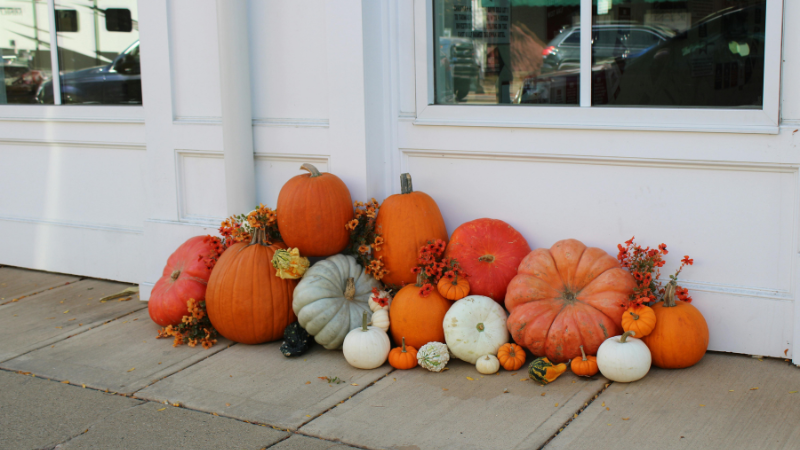 Decorating Your Charleston Home for Fall and Halloween | Carolina One Real Estate